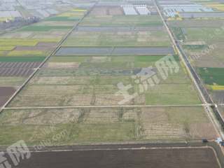 咸宁赤壁市520.0亩水田经营权出租