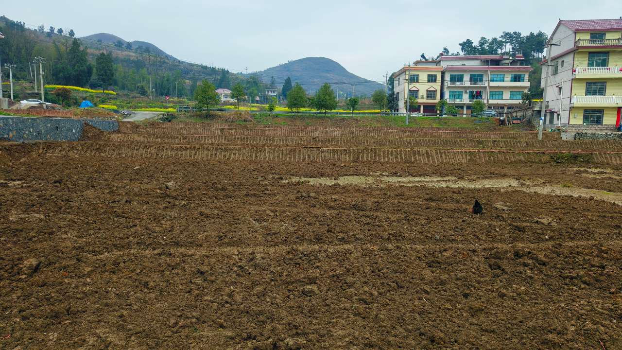 邵阳武冈市 100亩 水浇地 经营权出租