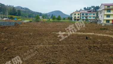 邵阳武冈市 100亩 水浇地 经营权出租