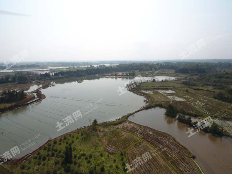 常德汉寿县 6.09亩 坑塘水面 经营权出租