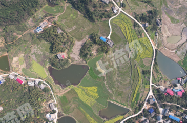 湘潭雨湖区 200亩 水浇地 经营权出租