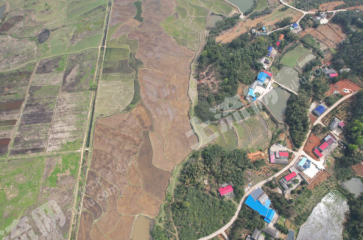 湘潭雨湖区 300亩 水浇地 经营权出租