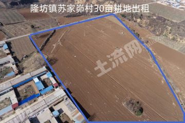 延安黄陵县 30亩 水浇地 经营权出租