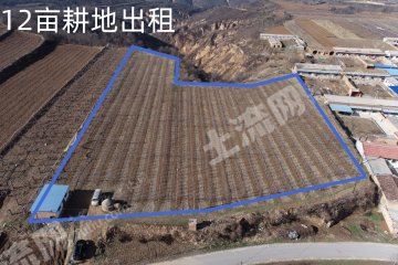 延安黄陵县 12亩 水浇地 经营权出租