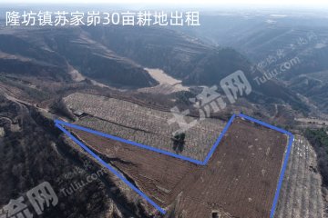 延安黄陵县 30亩 水浇地 经营权出租