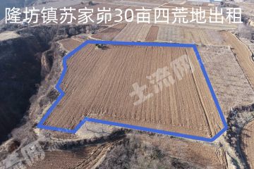 延安黄陵县 30亩 水浇地 经营权出租