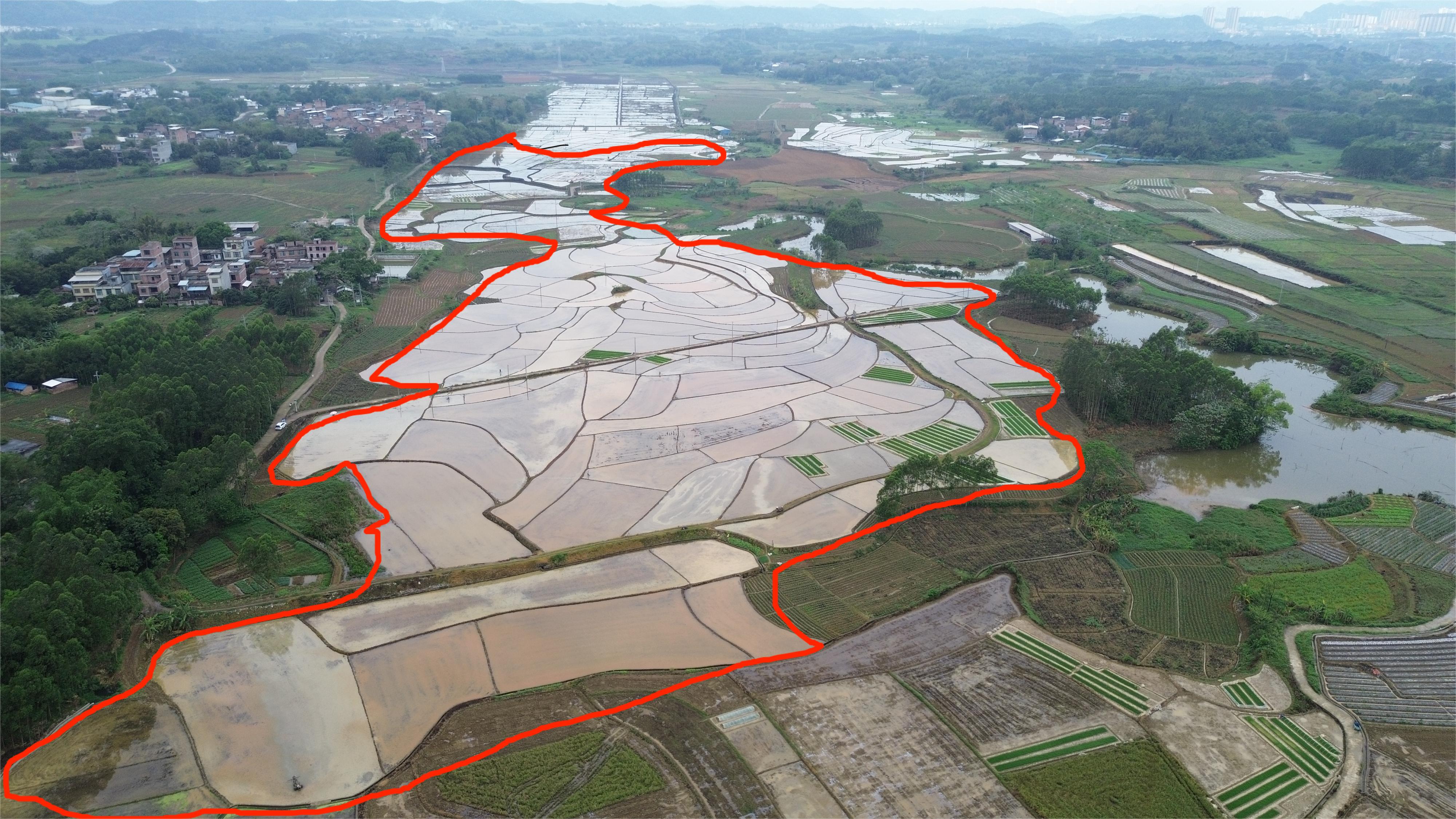 南宁隆安县 300亩 水田 经营权出租