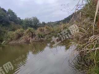 上饶德兴市3.0亩坑塘水面经营权出租