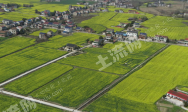 益阳桃江县204.0亩水浇地经营权出租