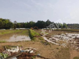 鹰潭贵溪市 24亩 水浇地 经营权出租