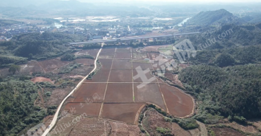 上饶德兴市1296.29亩水浇地经营权出租