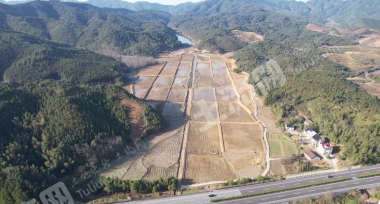 上饶德兴市204.41亩水浇地经营权出租