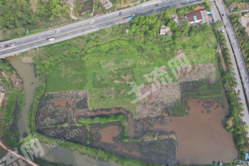 湘潭岳塘区 90亩 水浇地 经营权出租