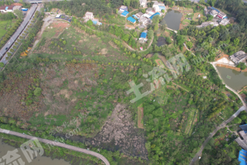 湘潭岳塘区 130亩 水浇地 经营权出租