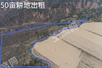 延安黄陵县 50亩 水浇地 经营权出租