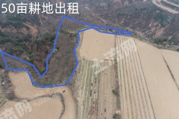 延安黄陵县 50亩 水浇地 经营权出租