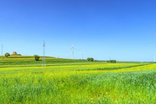 包头土默特右旗 567亩 水浇地 经营权出租