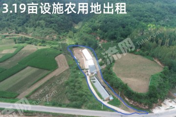 延安黄陵县 3.19亩 水浇地 经营权出租