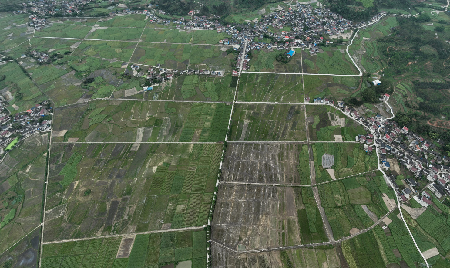 怀化溆浦县 620亩 水田 经营权出租