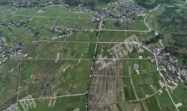 怀化溆浦县 620亩 水田 经营权出租