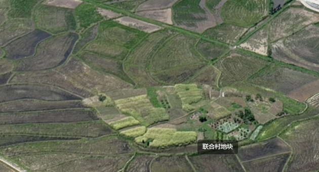 怀化溆浦县 110亩 水田 经营权出租