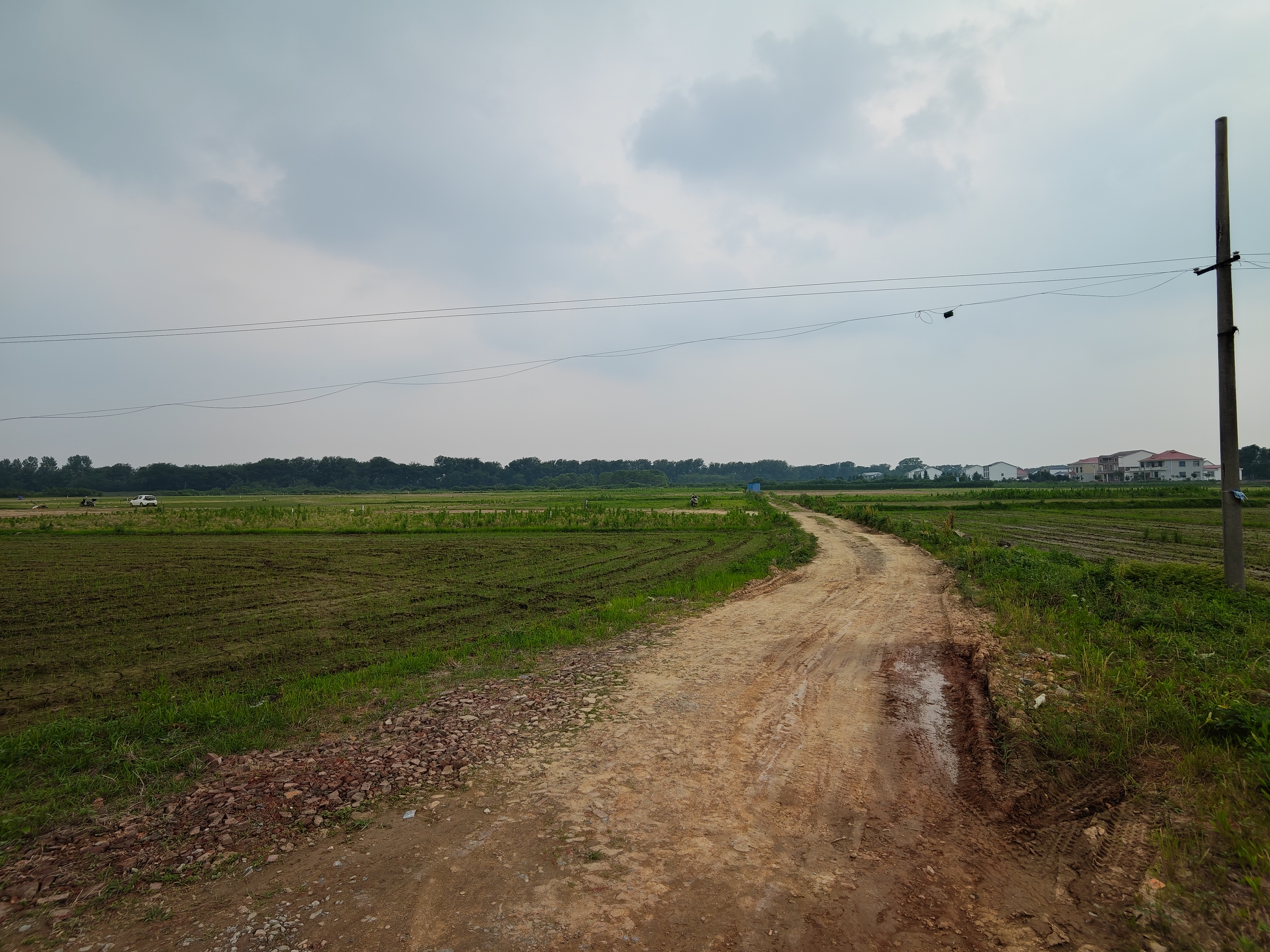 岳阳平江县 102.53亩 水浇地 经营权出租