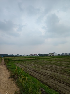岳阳平江县 102.53亩 水浇地 经营权出租