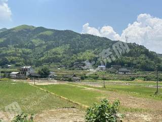 怀化会同县42.26亩水浇地经营权出租