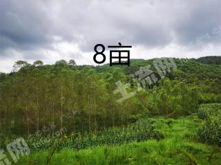 南宁横州市 51亩 水浇地 经营权出租