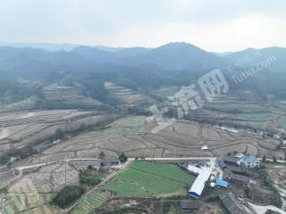 怀化会同县78.34亩水浇地经营权出租