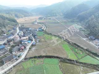 怀化会同县 243.54亩 水浇地 经营权出租