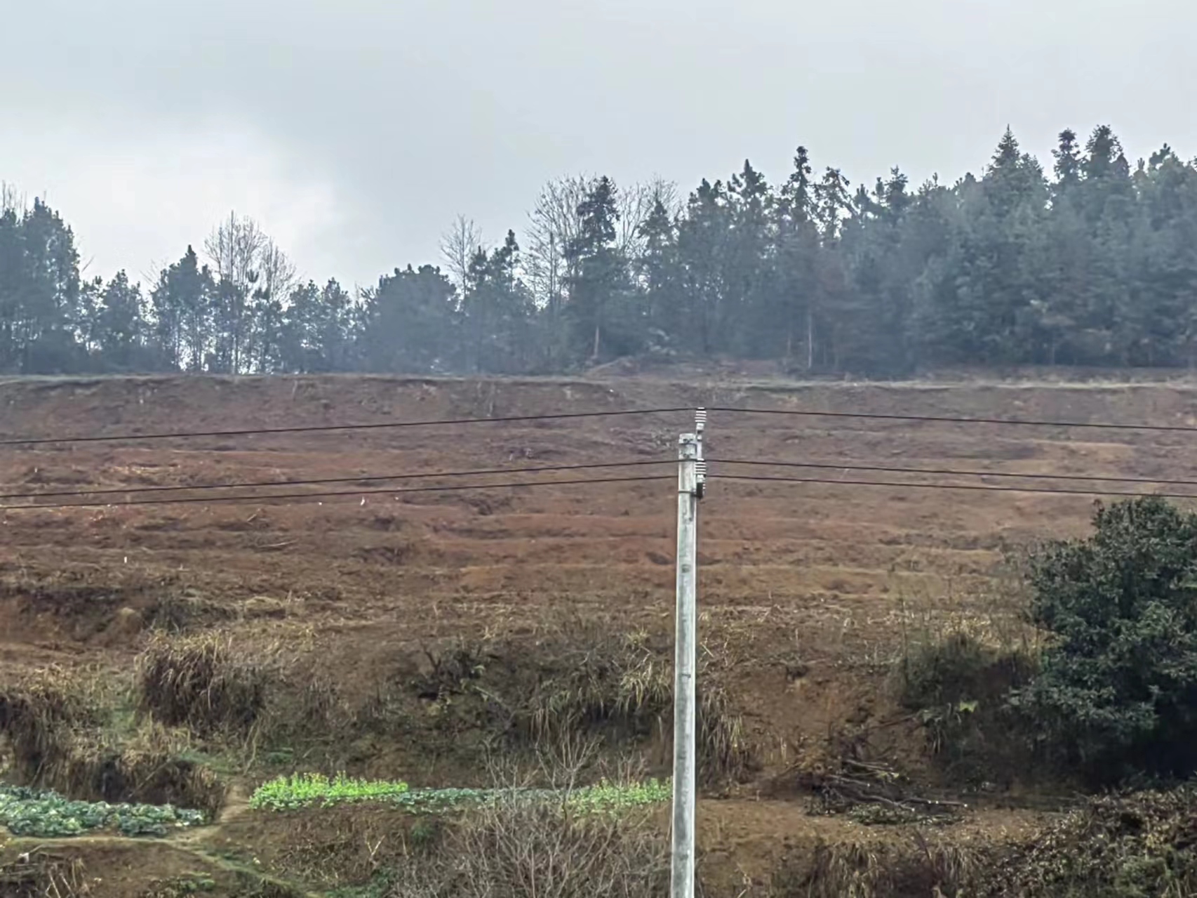 邵阳隆回县 10亩 水浇地 经营权出租