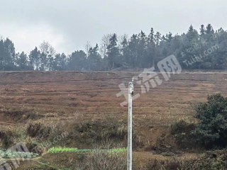邵阳隆回县 10亩 水浇地 经营权出租