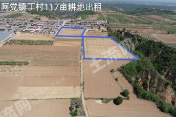 延安黄陵县 117亩 水浇地 经营权出租