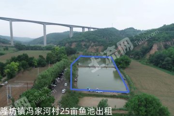 延安黄陵县 25亩 水浇地 经营权出租