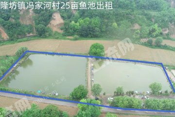 延安黄陵县 25亩 水浇地 经营权出租