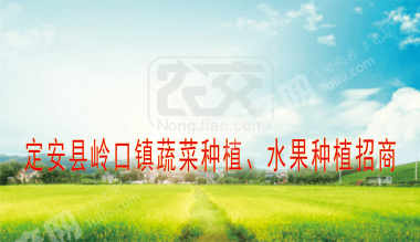 海南定安县 500亩 果园 经营权出租