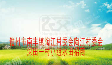 儋州南丰镇 110亩 水田 经营权出租