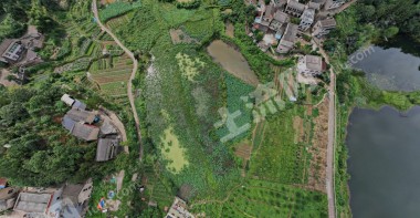 湘潭岳塘区 10亩 水浇地 经营权出租