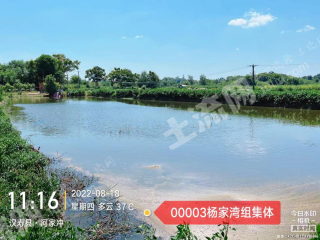 常德汉寿县 12.98亩 坑塘水面 经营权出租