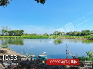 常德汉寿县 7.06亩 坑塘水面 经营权出租