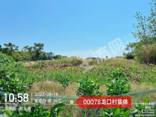 常德汉寿县 3.4亩 坑塘水面 经营权出租
