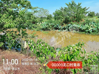 常德汉寿县 8.19亩 坑塘水面 经营权出租