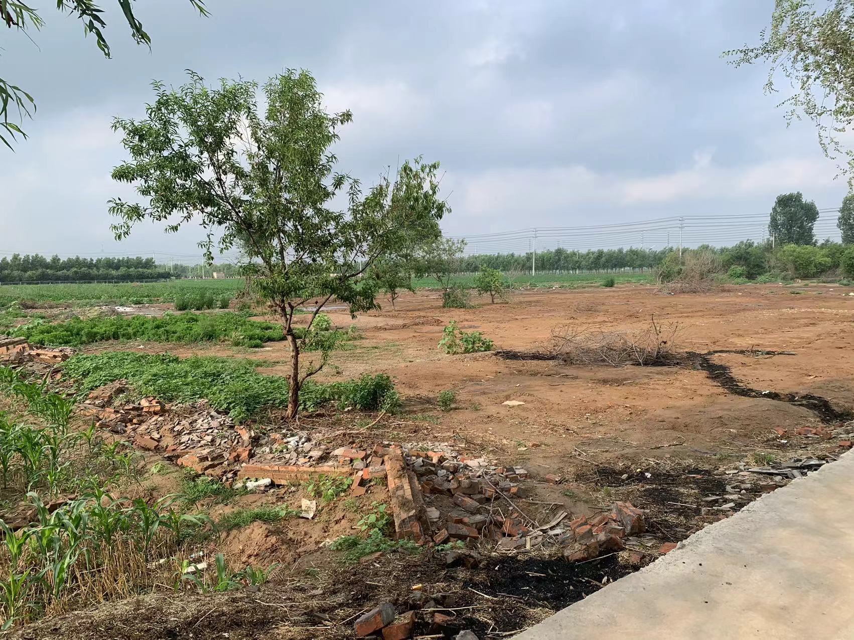 濮阳南乐县 12.56亩 水浇地 经营权出租