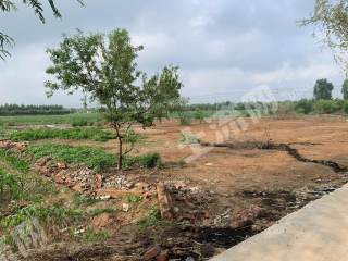 濮阳南乐县 12.56亩 水浇地 经营权出租