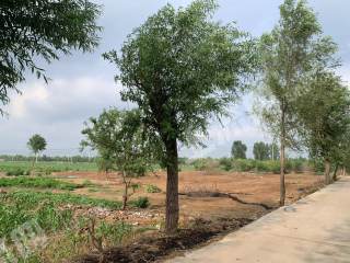 濮阳南乐县 12.56亩 水浇地 经营权出租