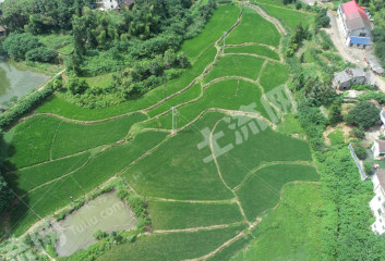 益阳桃江县 60.82亩 水浇地 经营权出租