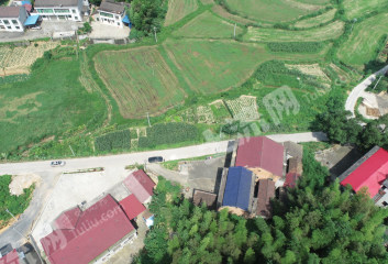 益阳桃江县 301.8亩 水浇地 经营权出租