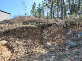 邵阳邵阳县 1亩 水浇地 经营权出租