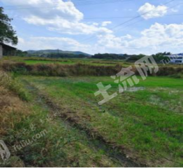 常德汉寿县 8.52亩 水田 经营权出租